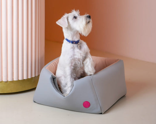 Cabrio Convertible Small Dog Bed
