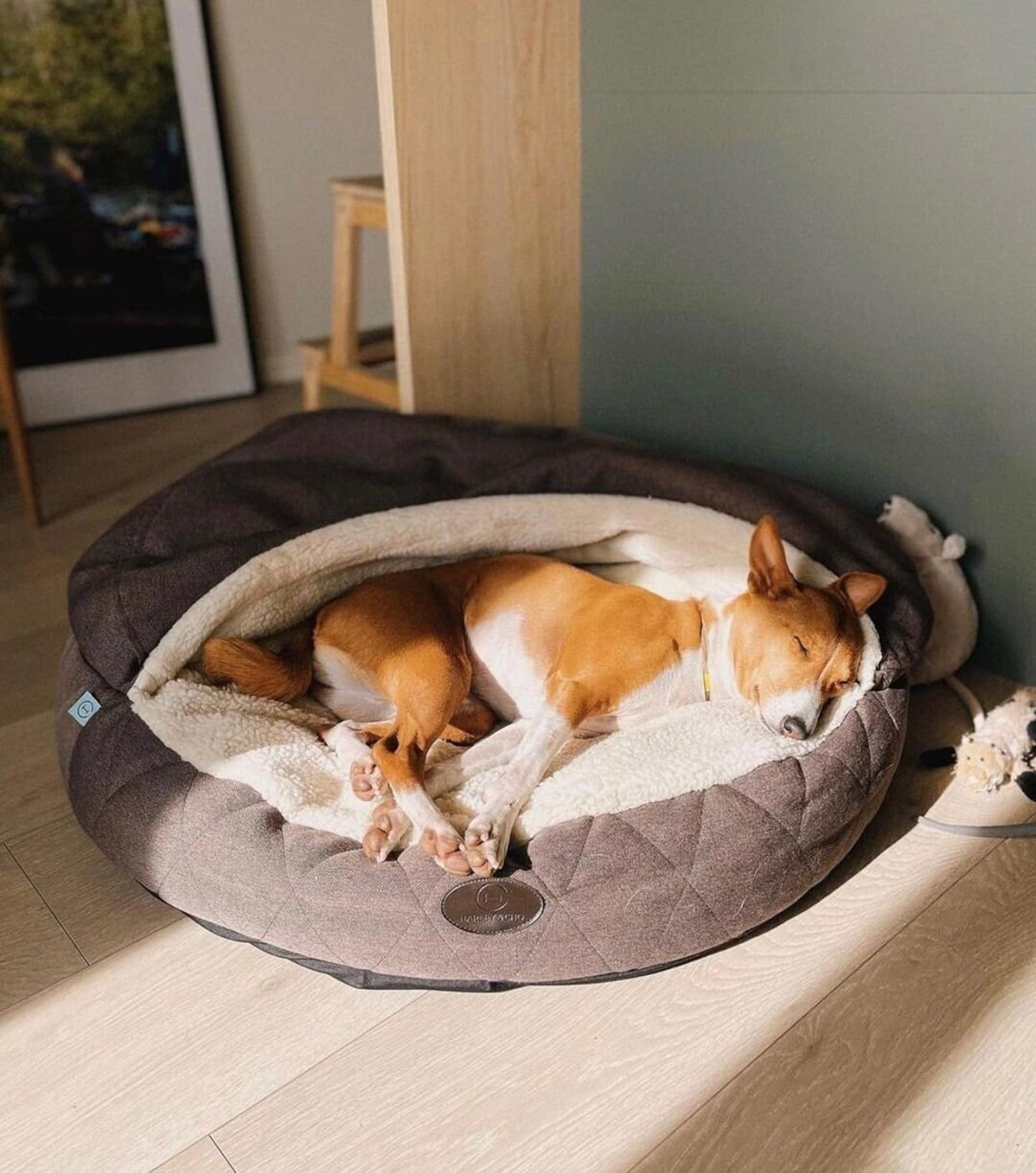 Cover Dog Bed