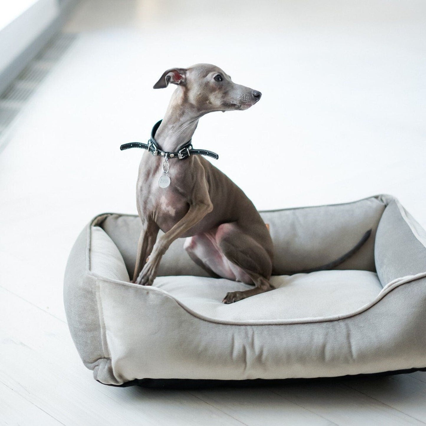 Velvet Dog Bed Dreamer