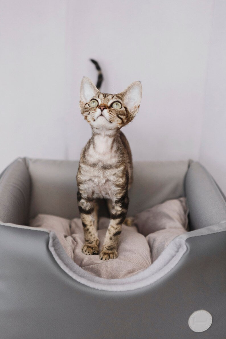 Cabrio Convertible Cat Bed