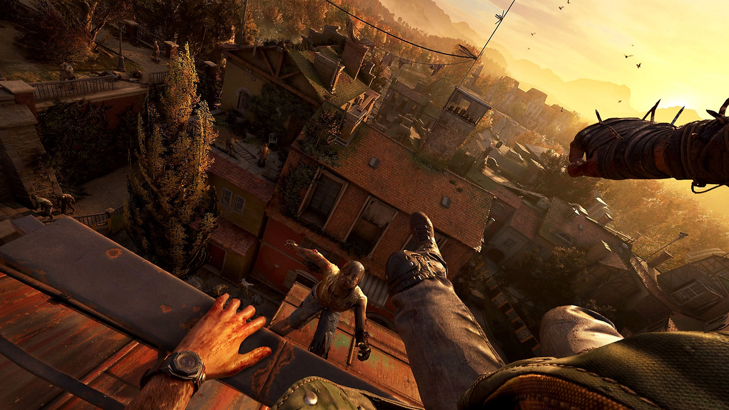Dying Light: The Beast - PC
