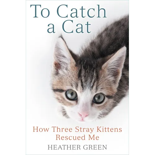 To Catch a Cat: How Three Stray Kittens Rescued Me