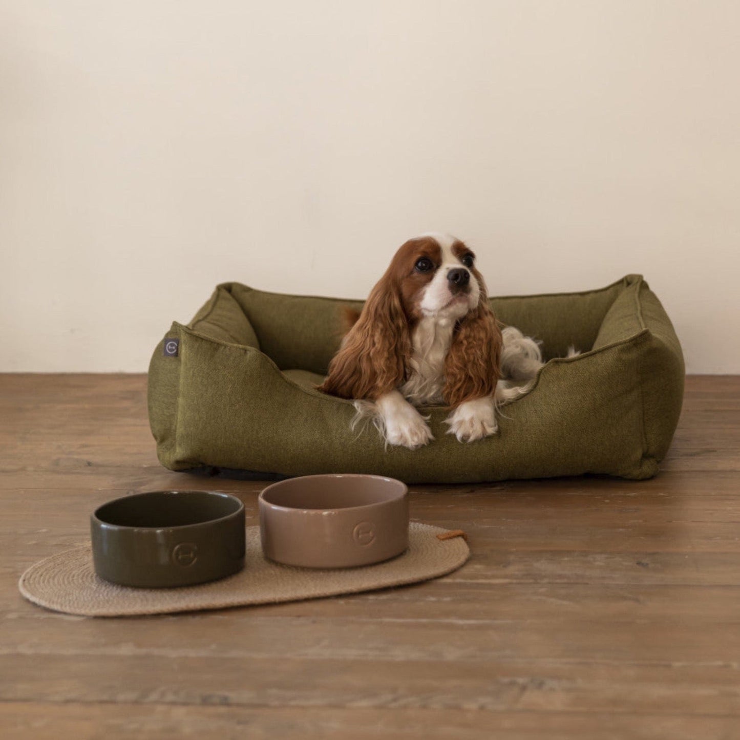 Ceramic Pet Bowl